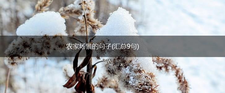 农家场景的句子(汇总9句),第1张