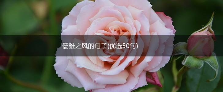 儒雅之风的句子(优选50句),第1张