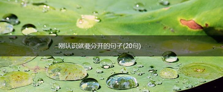 刚认识就要分开的句子(20句),第1张