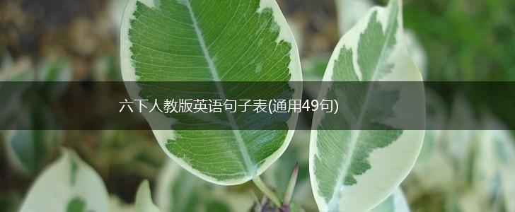 六下人教版英语句子表(通用49句),第1张
