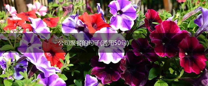 公司聚餐的句子(通用50句),第1张