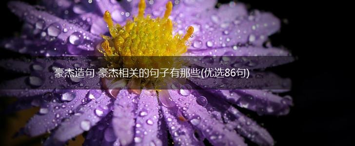 豪杰造句 豪杰相关的句子有那些(优选86句),第1张