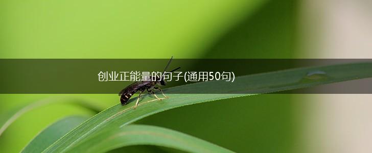 创业正能量的句子(通用50句),第1张