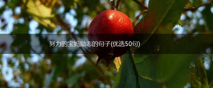 努力的宝妈励志的句子(优选50句),第1张