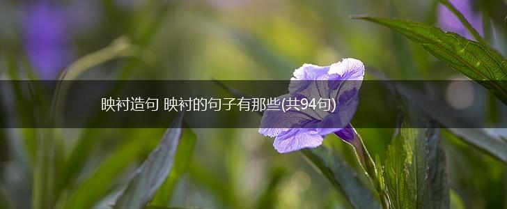 映衬造句 映衬的句子有那些(共94句),第1张
