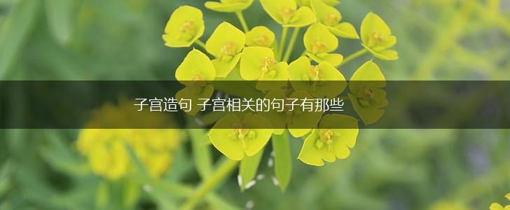 子宫造句 子宫相关的句子有那些,第1张