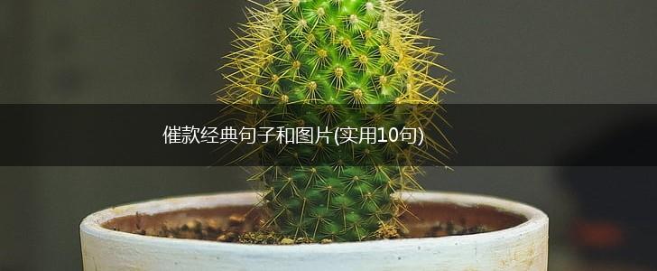 催款经典句子和图片(实用10句),第1张