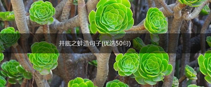 井底之蛙造句子(优选50句),第1张