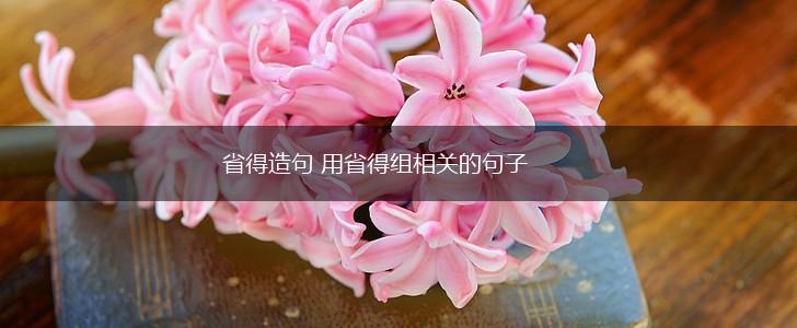 省得造句 用省得组相关的句子,第1张