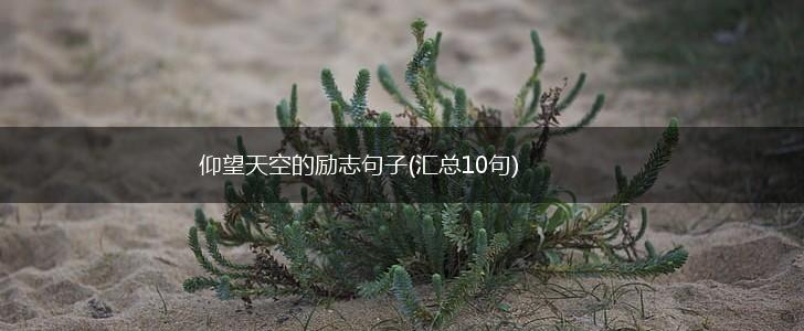 仰望天空的励志句子(汇总10句),第1张