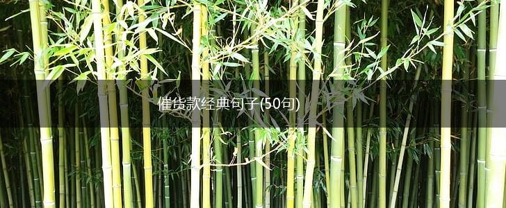 催货款经典句子(50句),第1张