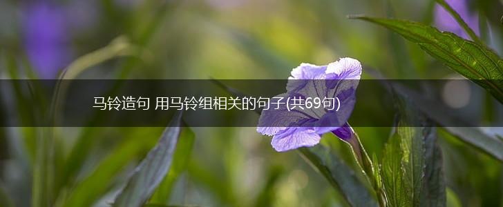 马铃造句 用马铃组相关的句子(共69句),第1张