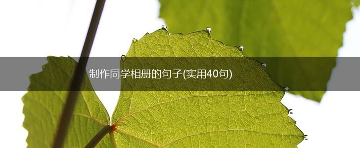 制作同学相册的句子(实用40句),第1张