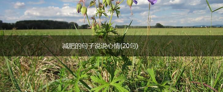 减肥的句子说说心情(20句),第1张