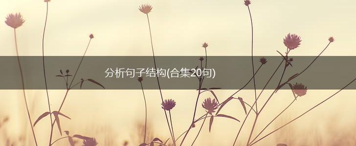 分析句子结构(合集20句),第1张