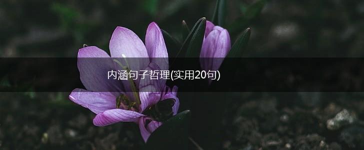 内涵句子哲理(实用20句),第1张