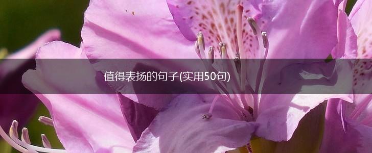 值得表扬的句子(实用50句),第1张