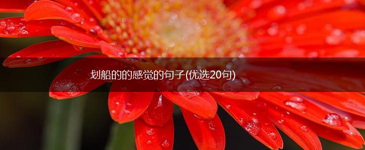 划船的的感觉的句子(优选20句),第1张