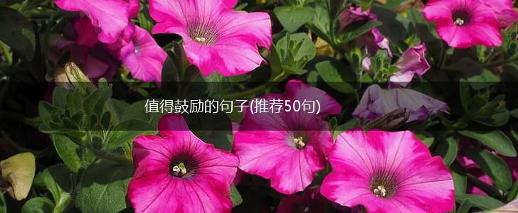 值得鼓励的句子(推荐50句),第1张