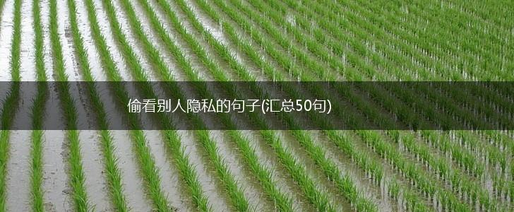 偷看别人隐私的句子(汇总50句),第1张