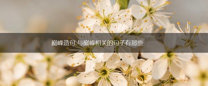 巅峰造句 与巅峰相关的句子有那些,第1张