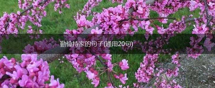 勤俭持家的句子(通用20句),第1张