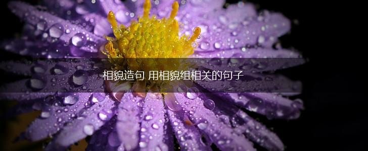 相貌造句 用相貌组相关的句子,第1张