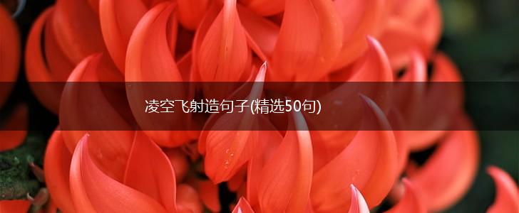 凌空飞射造句子(精选50句),第1张
