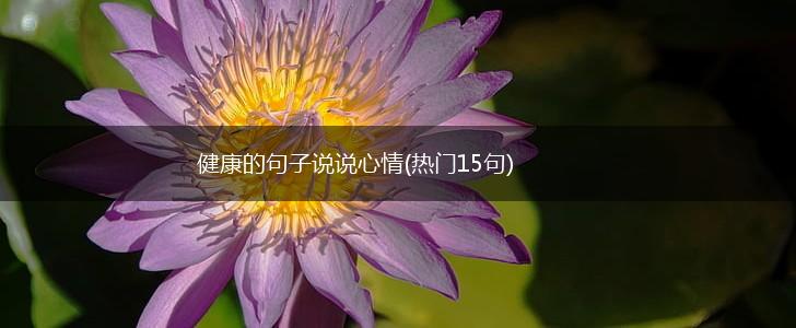 健康的句子说说心情(热门15句),第1张