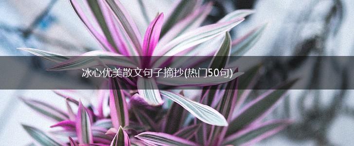冰心优美散文句子摘抄(热门50句),第1张