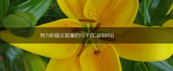 努力积极正能量的句子(汇总50句),第1张