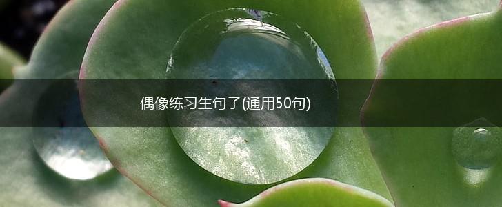 偶像练习生句子(通用50句),第1张
