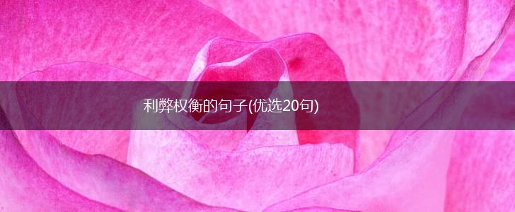 利弊权衡的句子(优选20句),第1张