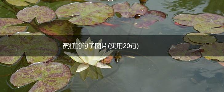 冤枉的句子图片(实用20句),第1张