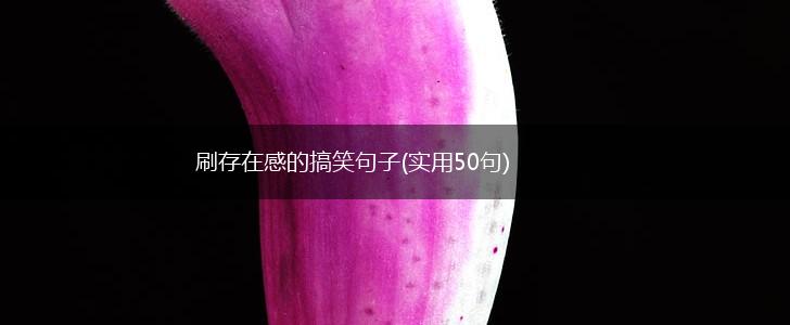 刷存在感的搞笑句子(实用50句),第1张