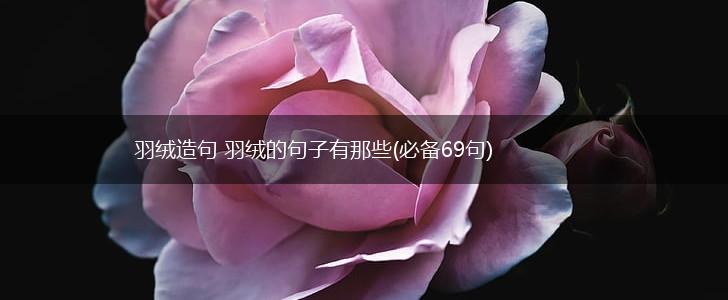 羽绒造句 羽绒的句子有那些(必备69句),第1张