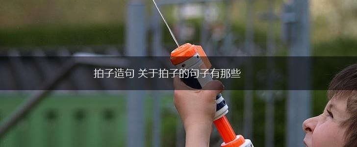拍子造句 关于拍子的句子有那些,第1张