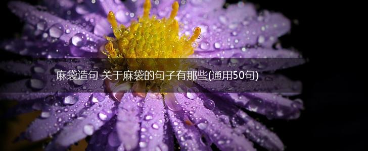 麻袋造句 关于麻袋的句子有那些(通用50句),第1张