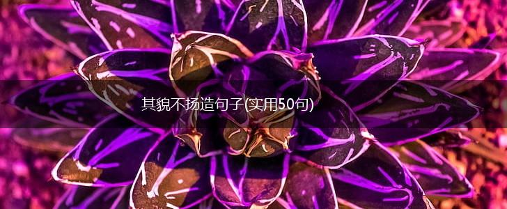 其貌不扬造句子(实用50句),第1张