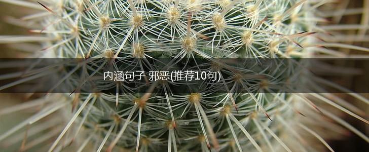 内涵句子 邪恶(推荐10句),第1张