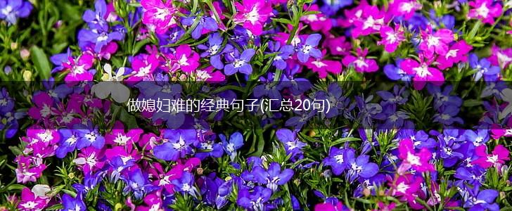 做媳妇难的经典句子(汇总20句),第1张