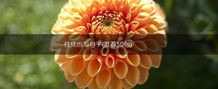 任凭也写句子(推荐50句),第1张