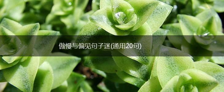 傲慢与偏见句子迷(通用20句),第1张