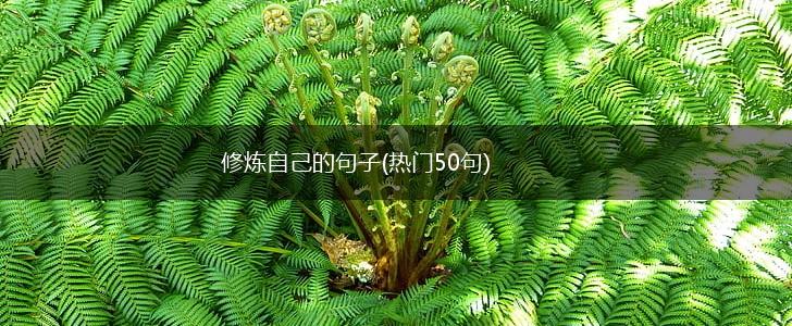 修炼自己的句子(热门50句),第1张