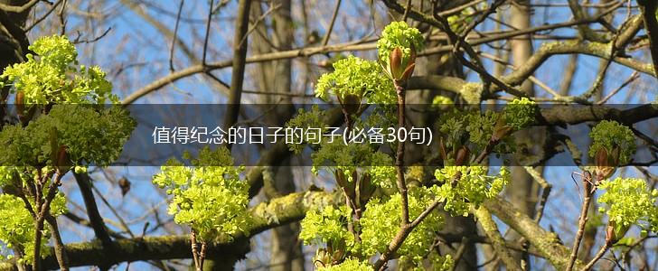 值得纪念的日子的句子(必备30句),第1张