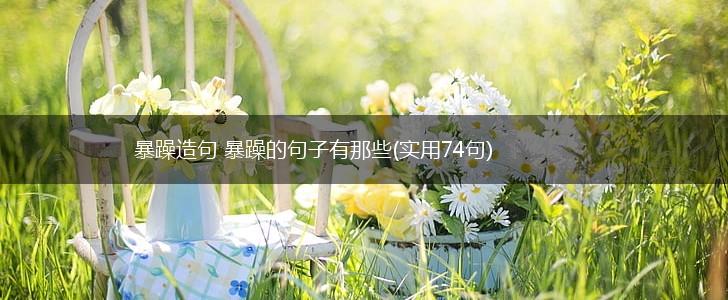 暴躁造句 暴躁的句子有那些(实用74句),第1张