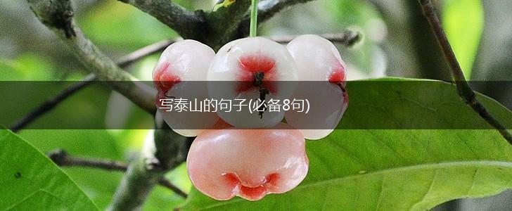 写泰山的句子(必备8句),第1张