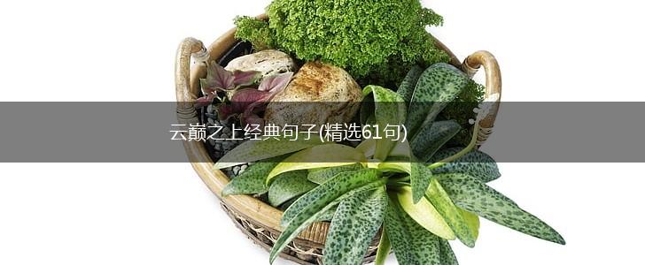云巅之上经典句子(精选61句),第1张