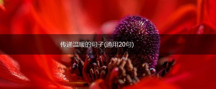 传递温暖的句子(通用20句),第1张