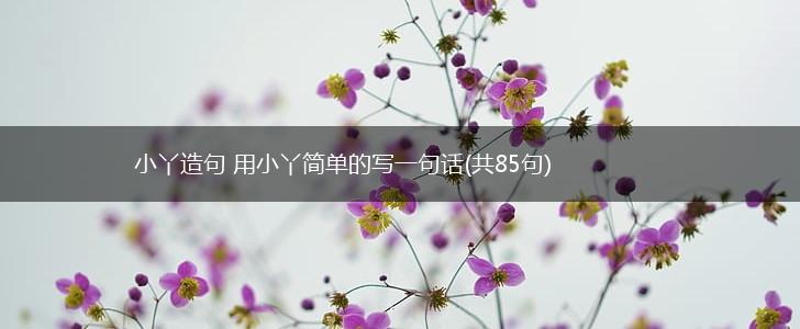 小丫造句 用小丫简单的写一句话(共85句),第1张